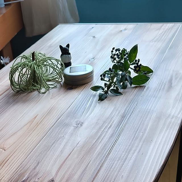 koyutan-mjmさんの部屋