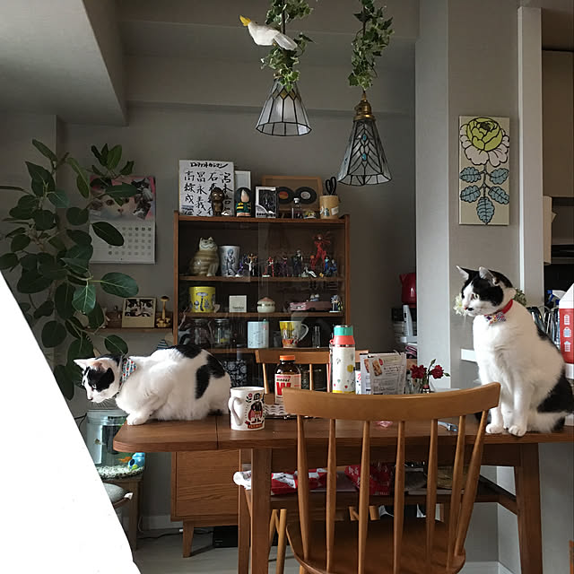 hanaさんの実例写真