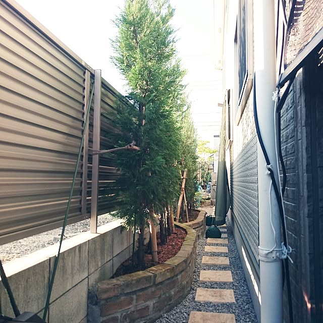 321さんの実例写真