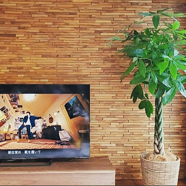 momoさんの実例写真