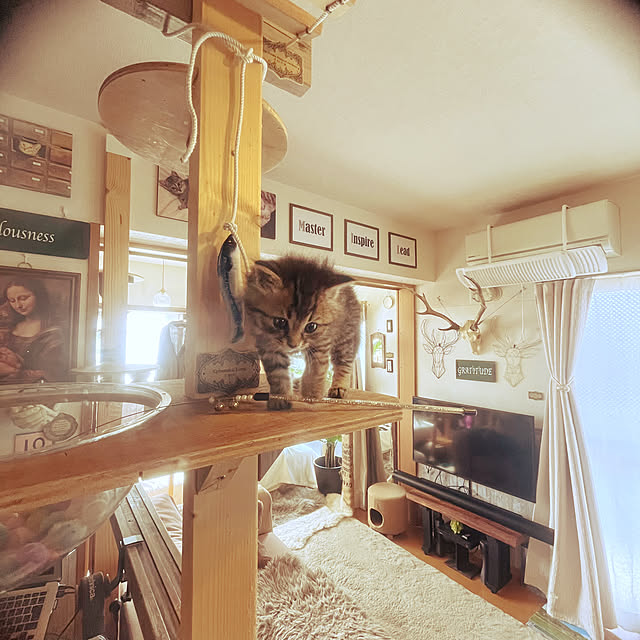 Mさんの部屋