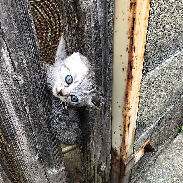 khさんの実例写真