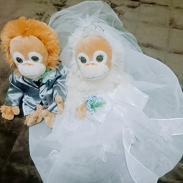 Takakoさんの実例写真