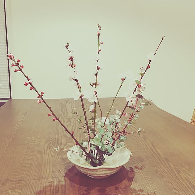nyabuhahaさんの実例写真