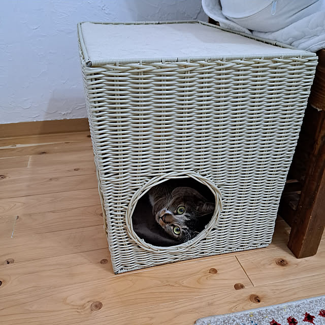 ayaさんの実例写真