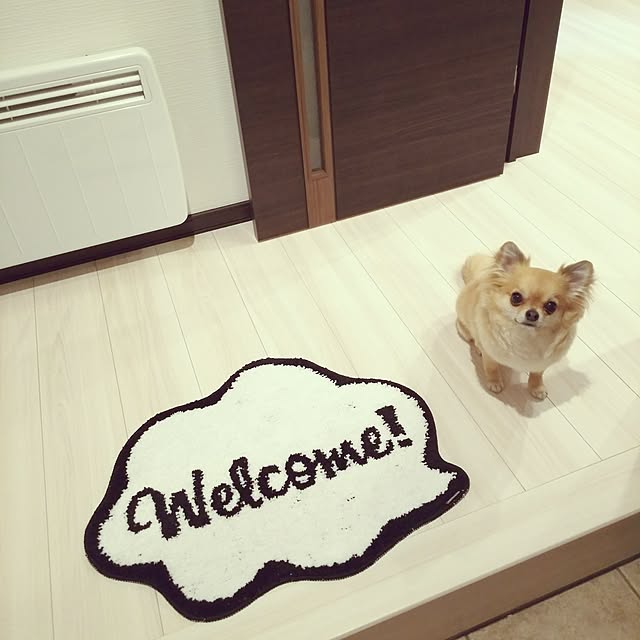 kojikojiさんの実例写真