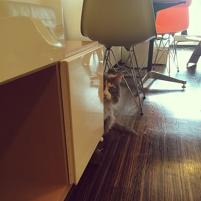 Yusukeさんの実例写真