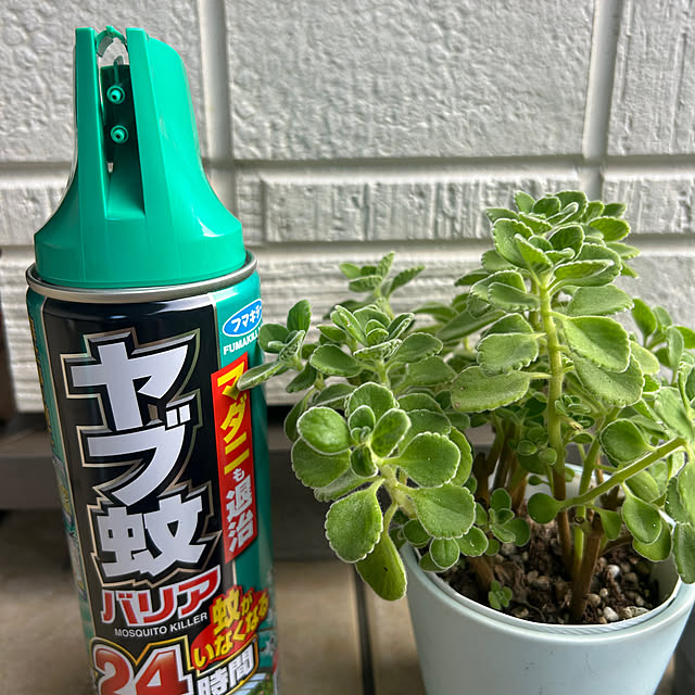 banbinaさんの実例写真