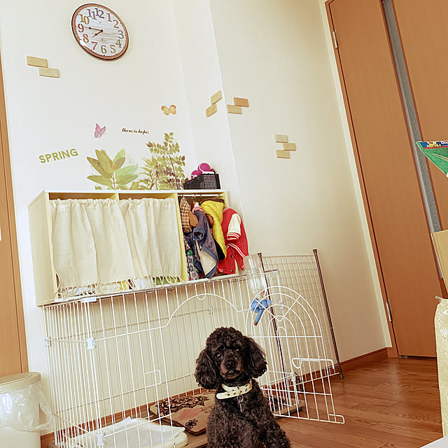 qkaneeさんの実例写真