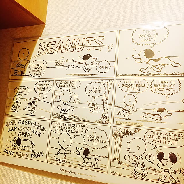 snooopeanutsさんの実例写真