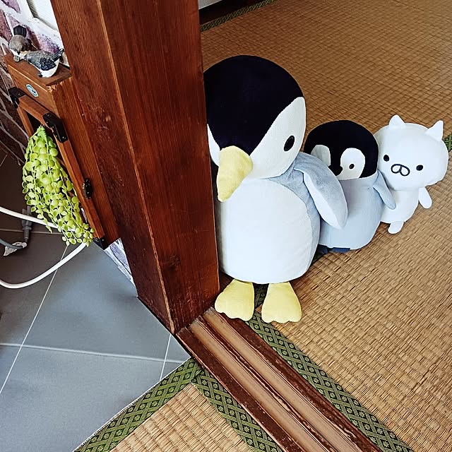 5101103さんの部屋
