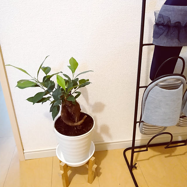 shumamaさんの実例写真
