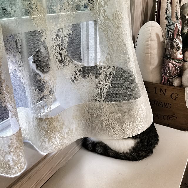 yuchiさんの実例写真
