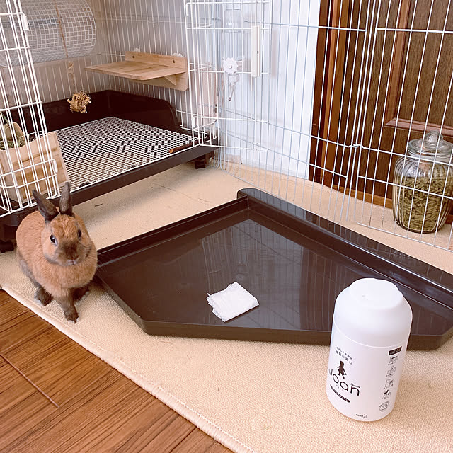 maronさんの実例写真