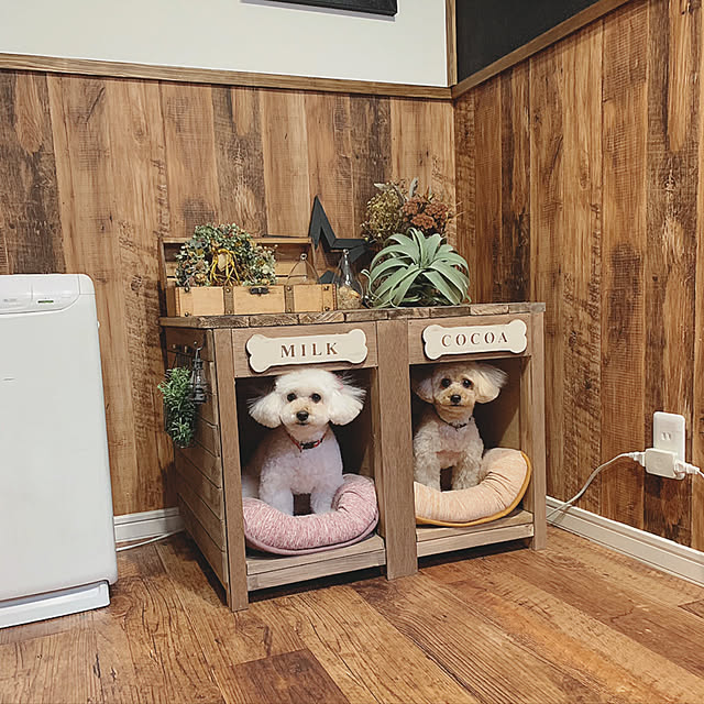 akko1205さんの実例写真