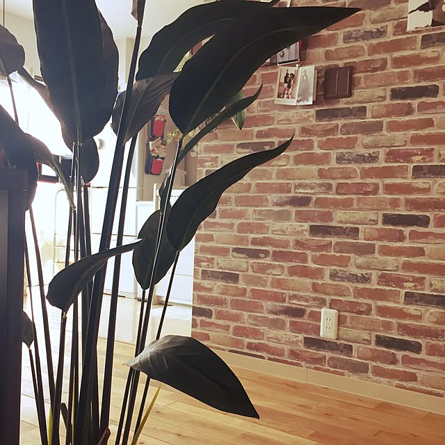 yumeさんの実例写真