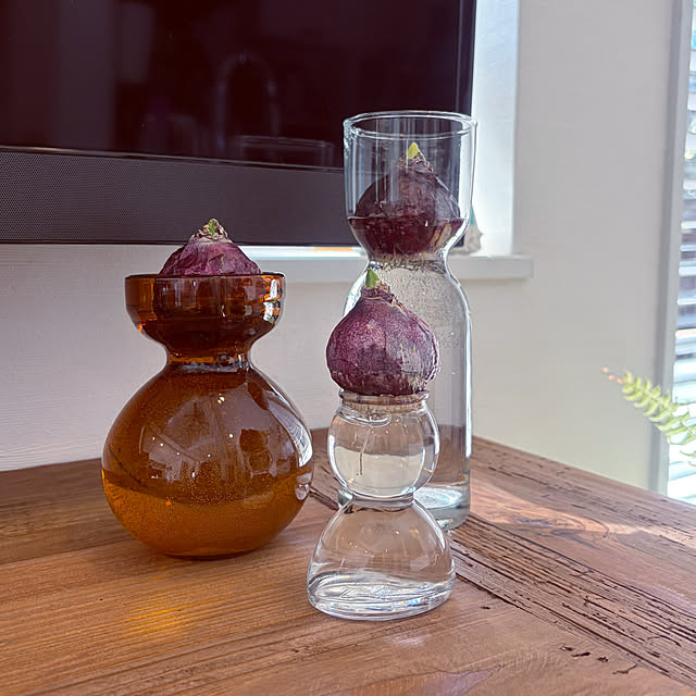 kabooochaさんの実例写真