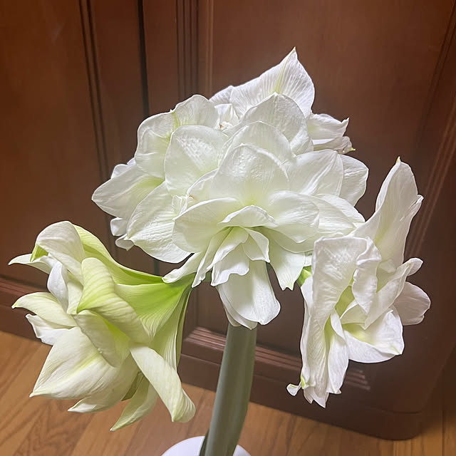 nannoさんの部屋