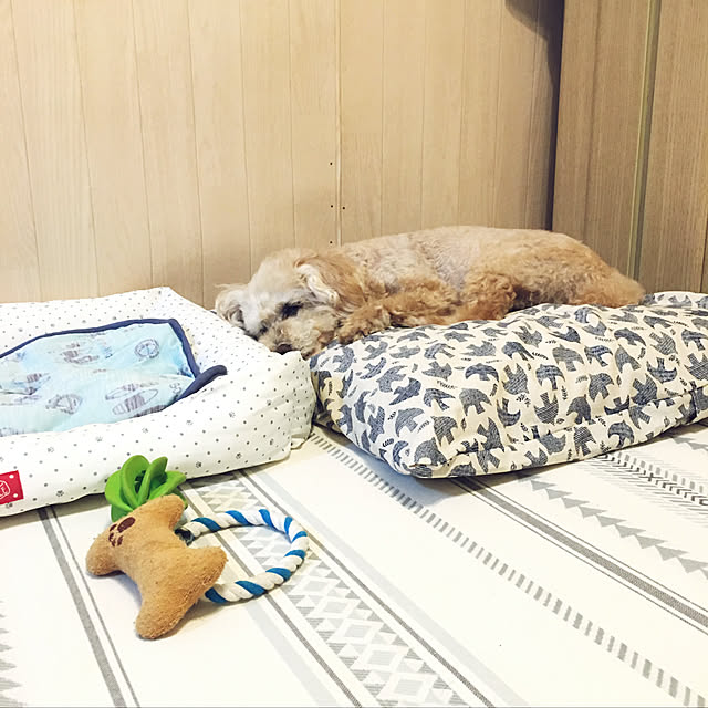 yukarimamaさんの実例写真