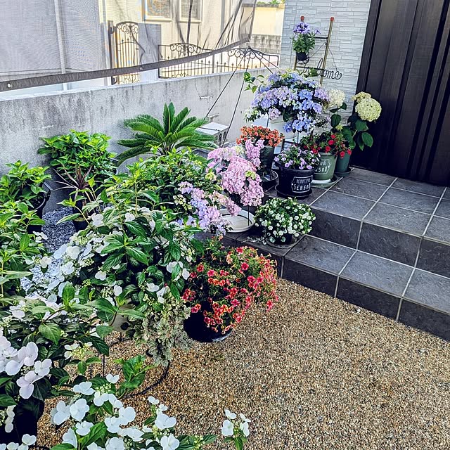 kohakuさんの実例写真