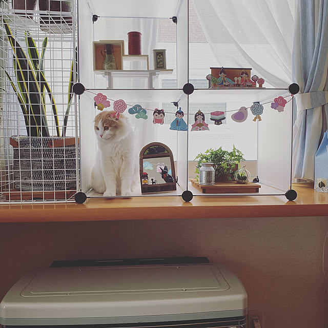 kazuheieriさんの実例写真