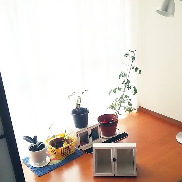 masayoさんの実例写真