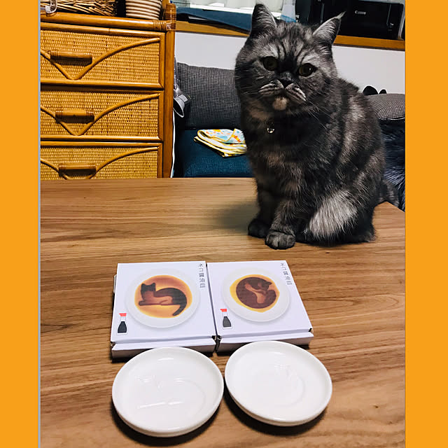 Marinさんの実例写真