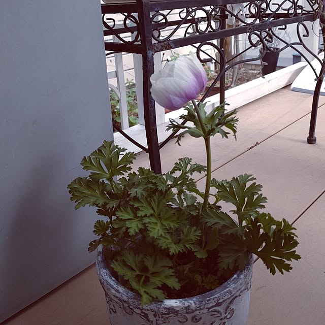 Bienvenueさんの部屋