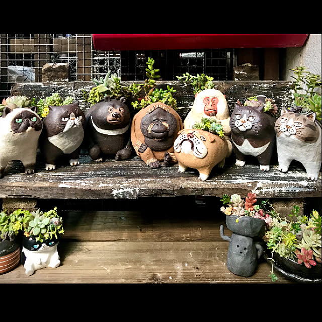 butachanさんの実例写真