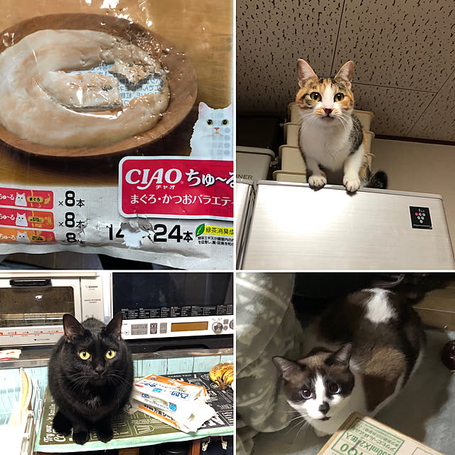 vivienne.coco-keiさんの実例写真