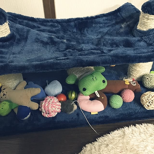 violepenseeさんの実例写真