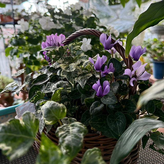 Aqettyさんの部屋