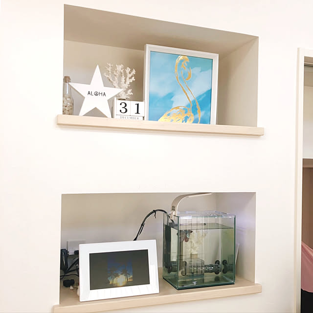 shellさんの実例写真