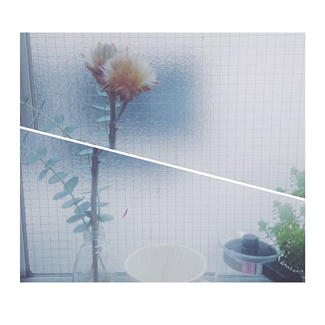 va__gさんの実例写真