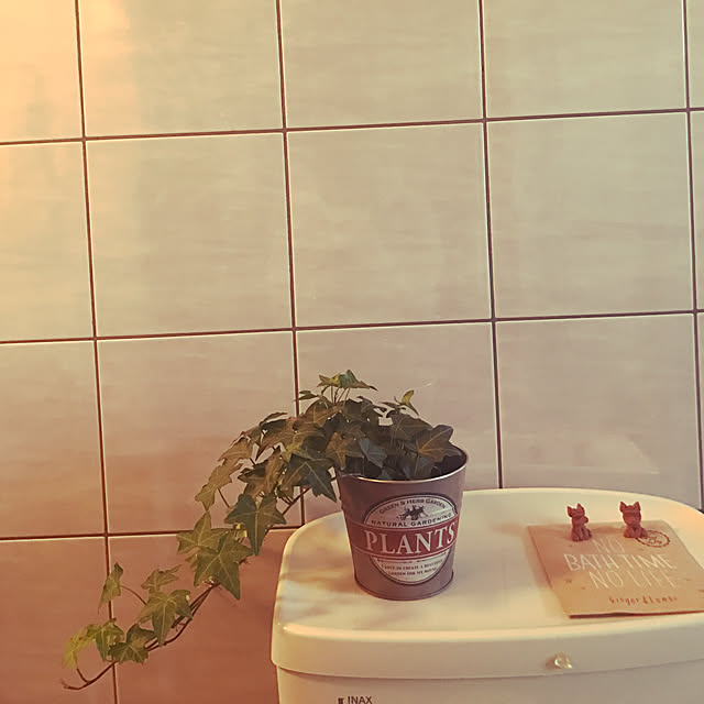 Konixxxxさんの実例写真