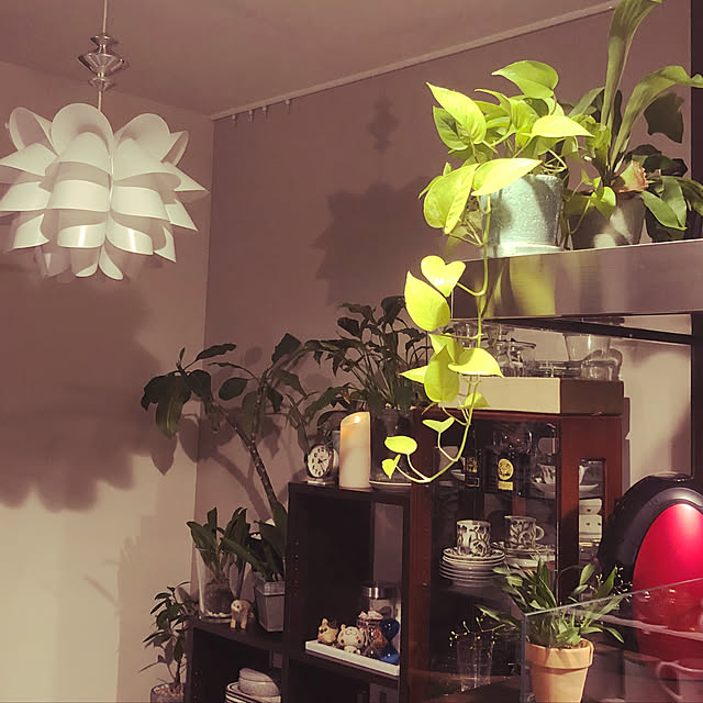 キッチン/観葉植物/照明のインテリア実例 - 2018-04-03 12:55:52