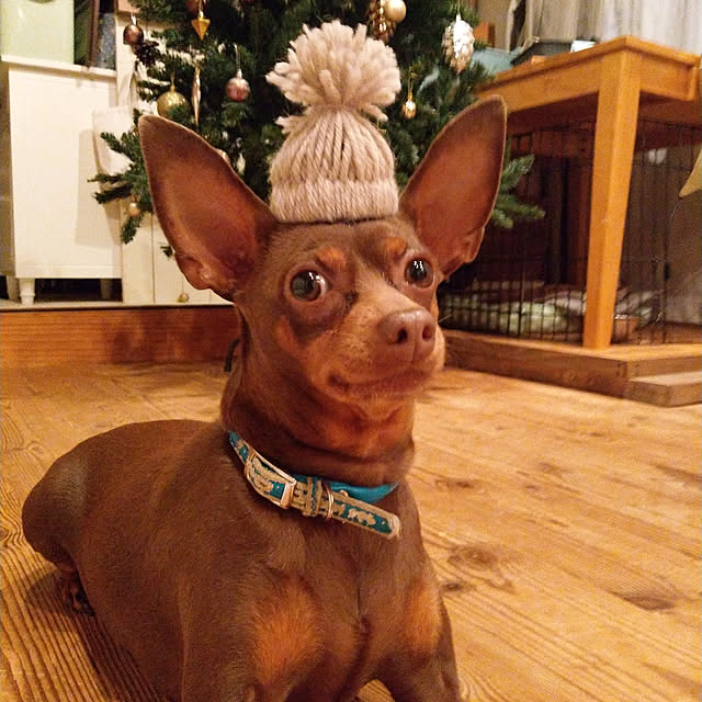 chocoさんの実例写真