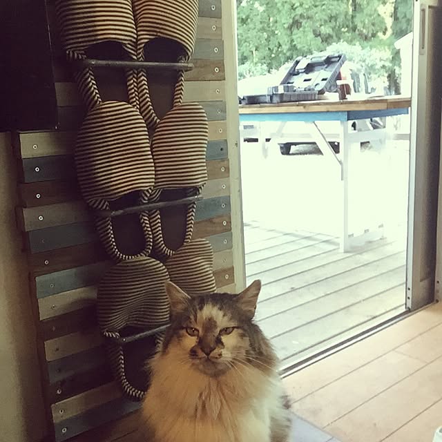 koimaruさんの実例写真