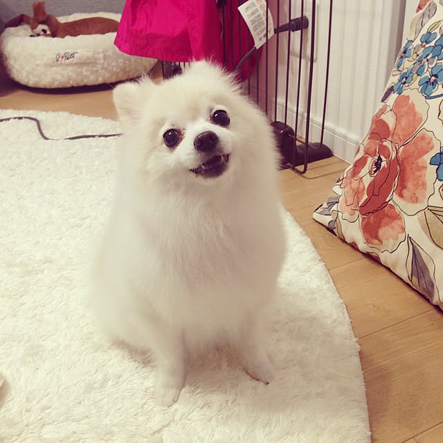 yunさんの実例写真