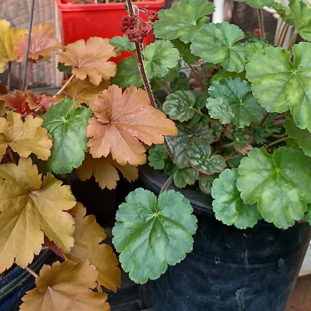 hiro.904さんの部屋