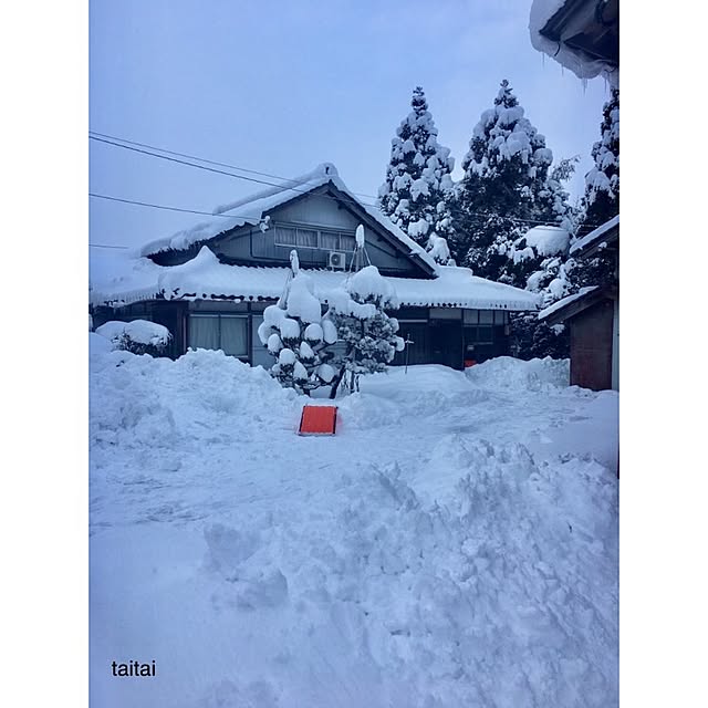 taitaiさんの実例写真