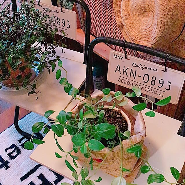 JARIさんの実例写真