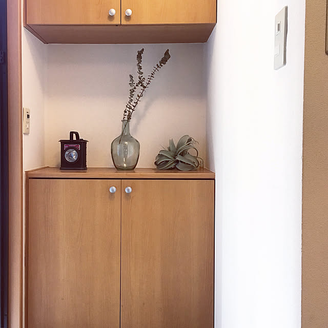 sowさんの実例写真