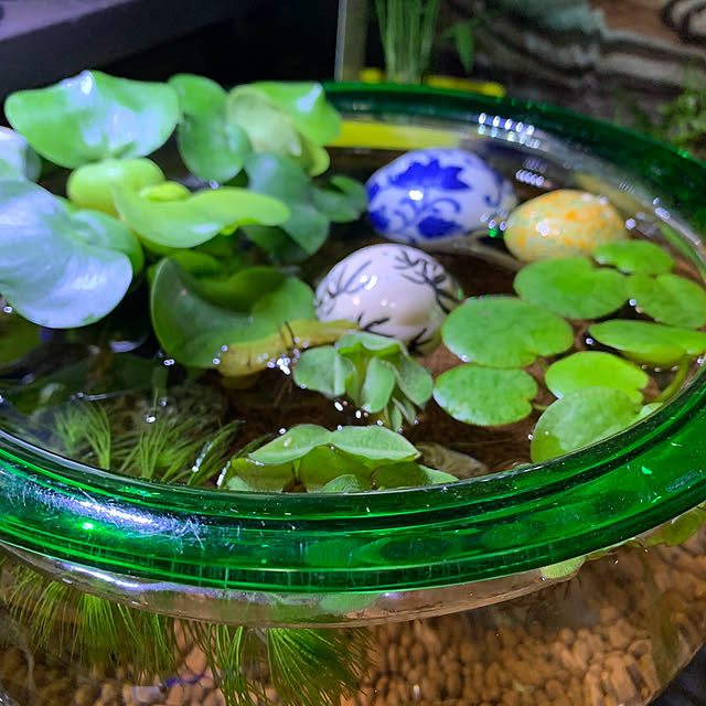 hikoさんの部屋