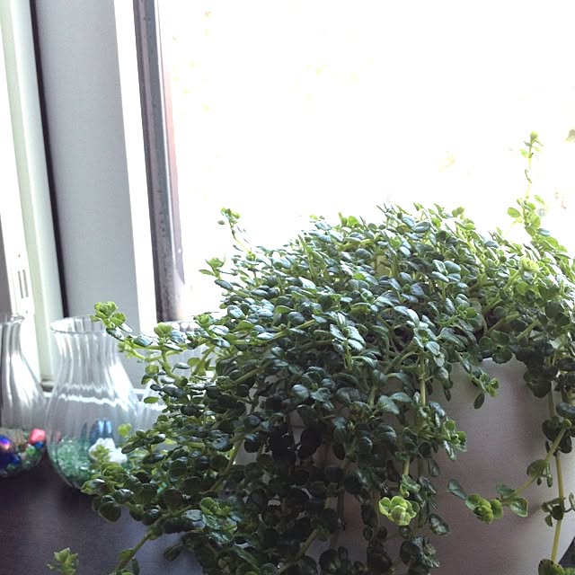 aoさんの実例写真