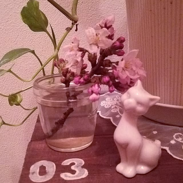 taketakeさんの実例写真