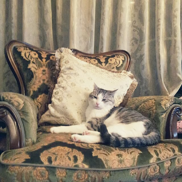emmyyさんの実例写真