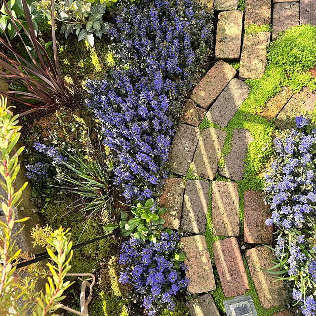 kyoko1124koさんの部屋