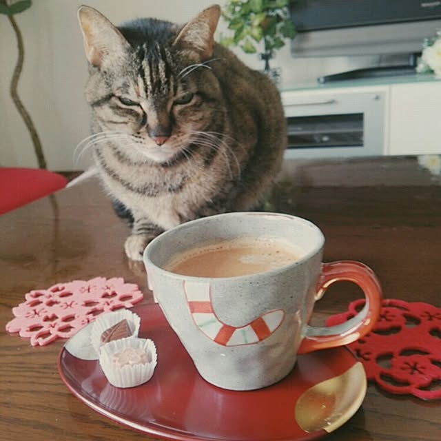 chibipukoさんの実例写真