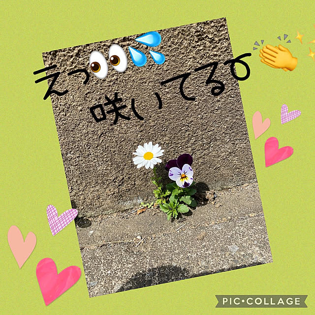 Smilkazuさんの実例写真